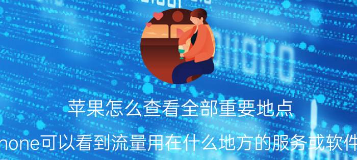 苹果怎么查看全部重要地点 iPhone可以看到流量用在什么地方的服务或软件吗？